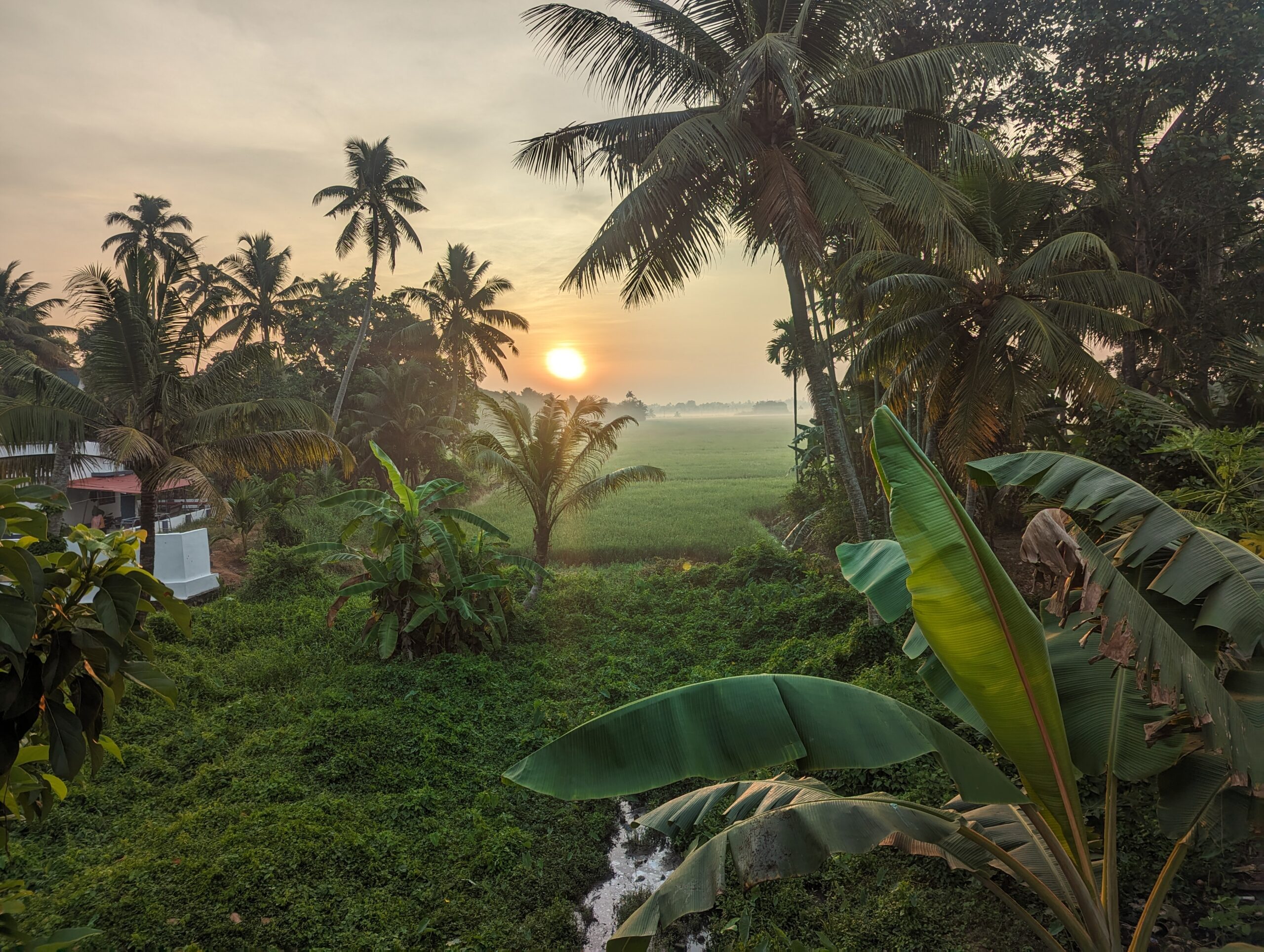 India – 2 weeks backpacking Kerala and Tamil Nadu